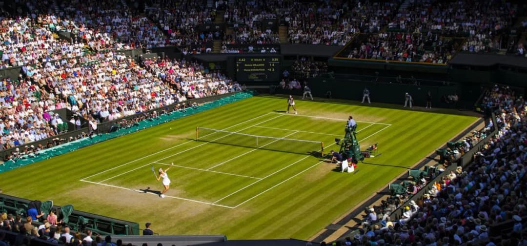 Wimbledon ile kortów: poznaj 19 wyjątkowych kortów tenisowych